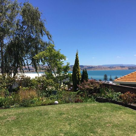 Jacaranda Lodge - Napier Hill Holiday Home Екстериор снимка